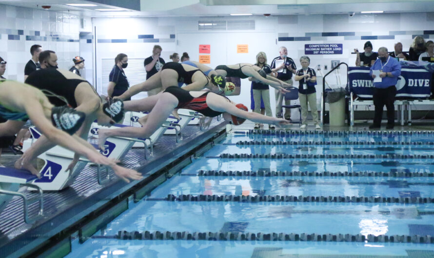 Sophomore swims through life achievements