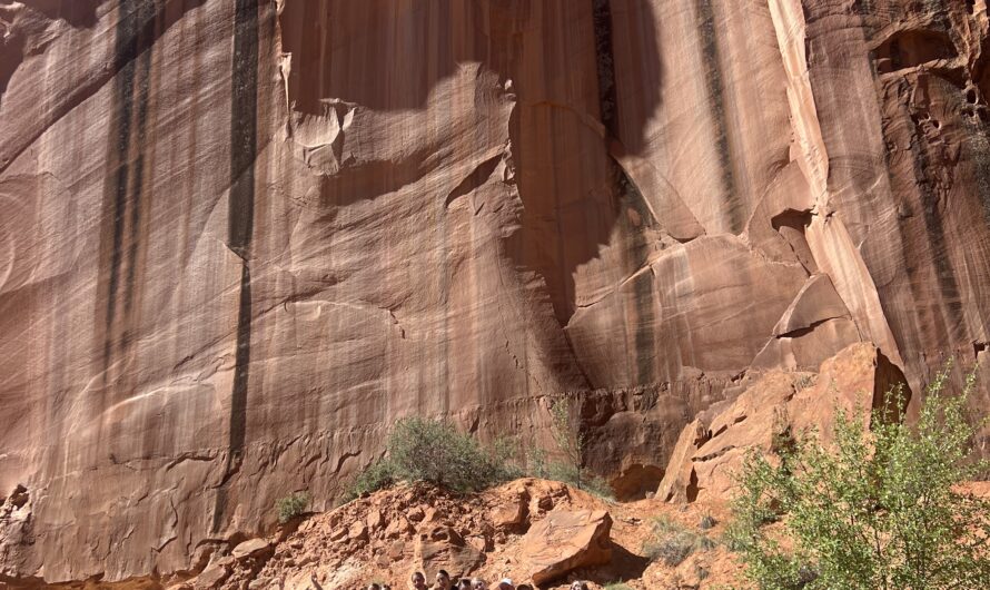 Senior English class adventures on trip to Capitol Reef