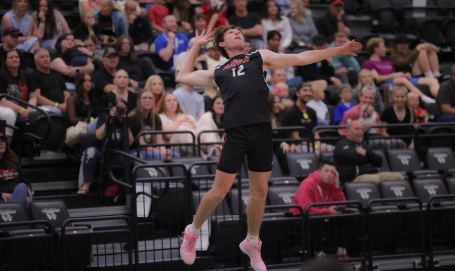 Boys volleyball takes second at state