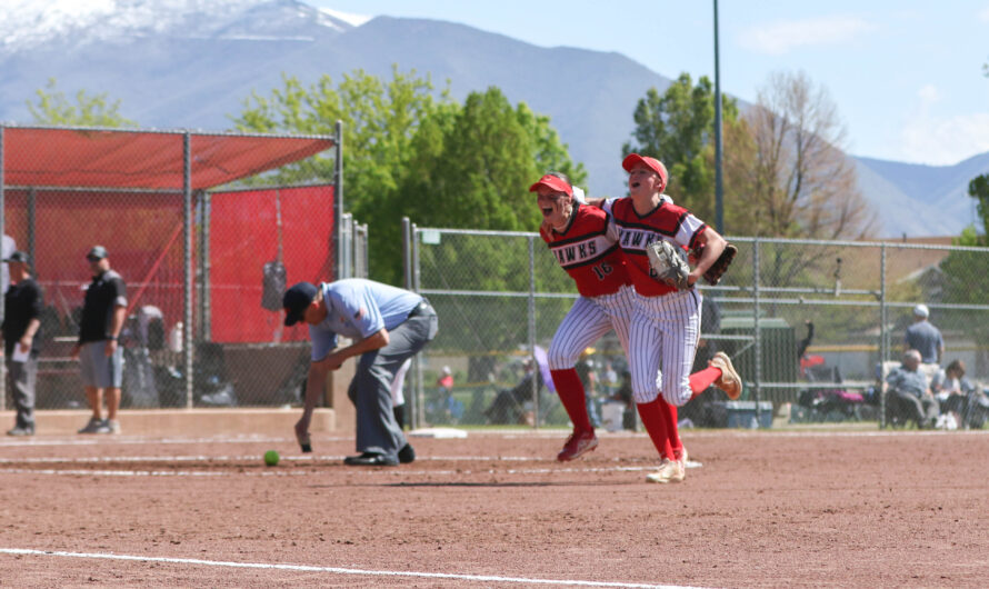 Softball takes third in state after successful season