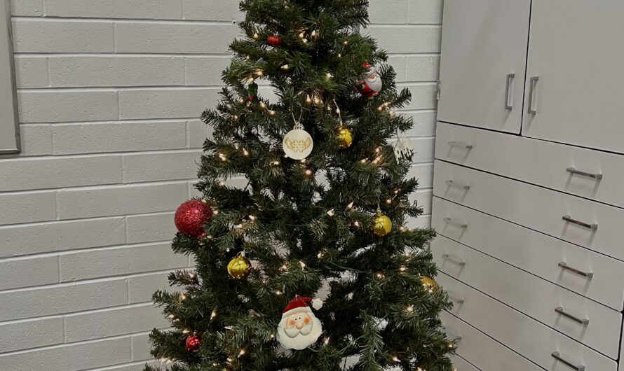 Christmas tree contest promotes festive competition